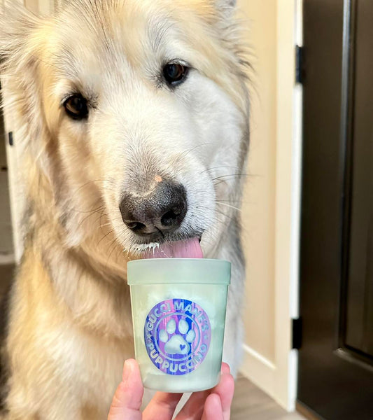 Puppuccino Cup