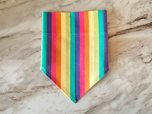 Neon Rainbow | Bandana