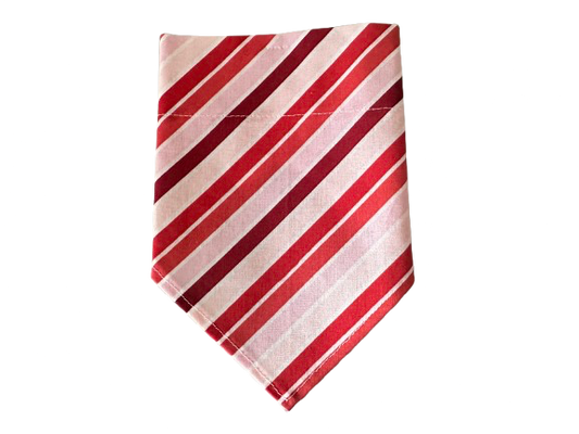 Stripes | Pink + Red | Bandana