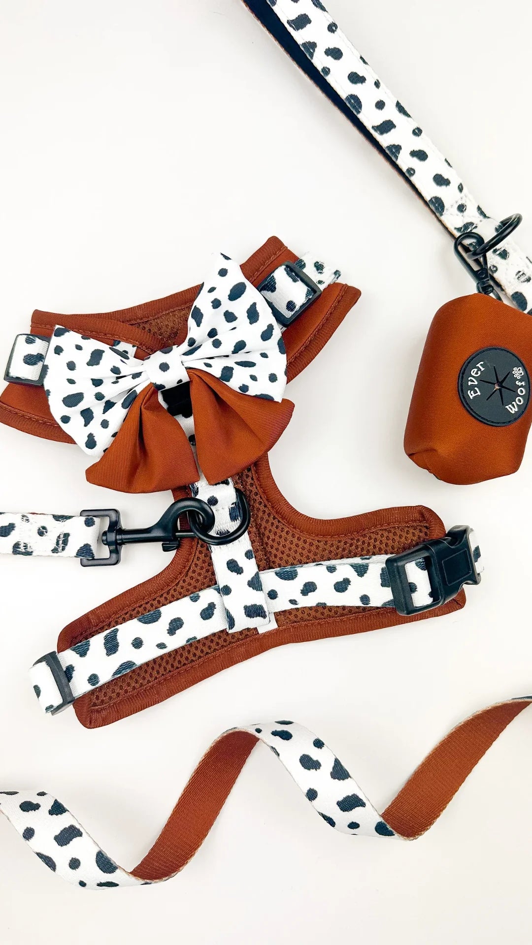 Spotted Ember | Leash