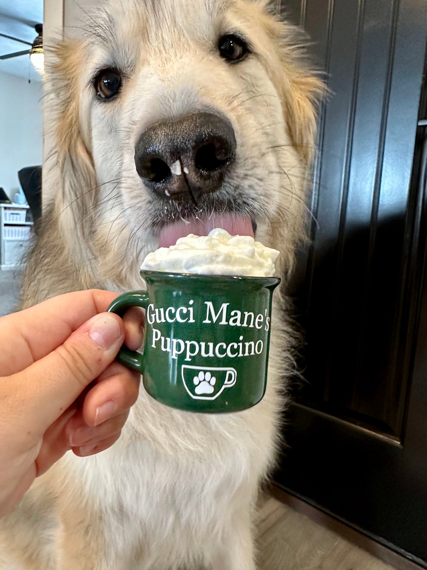 Puppuccino Mug