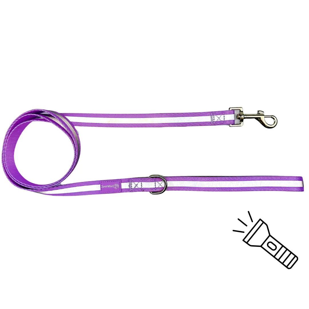 Amethyst | Leash (Reflective)