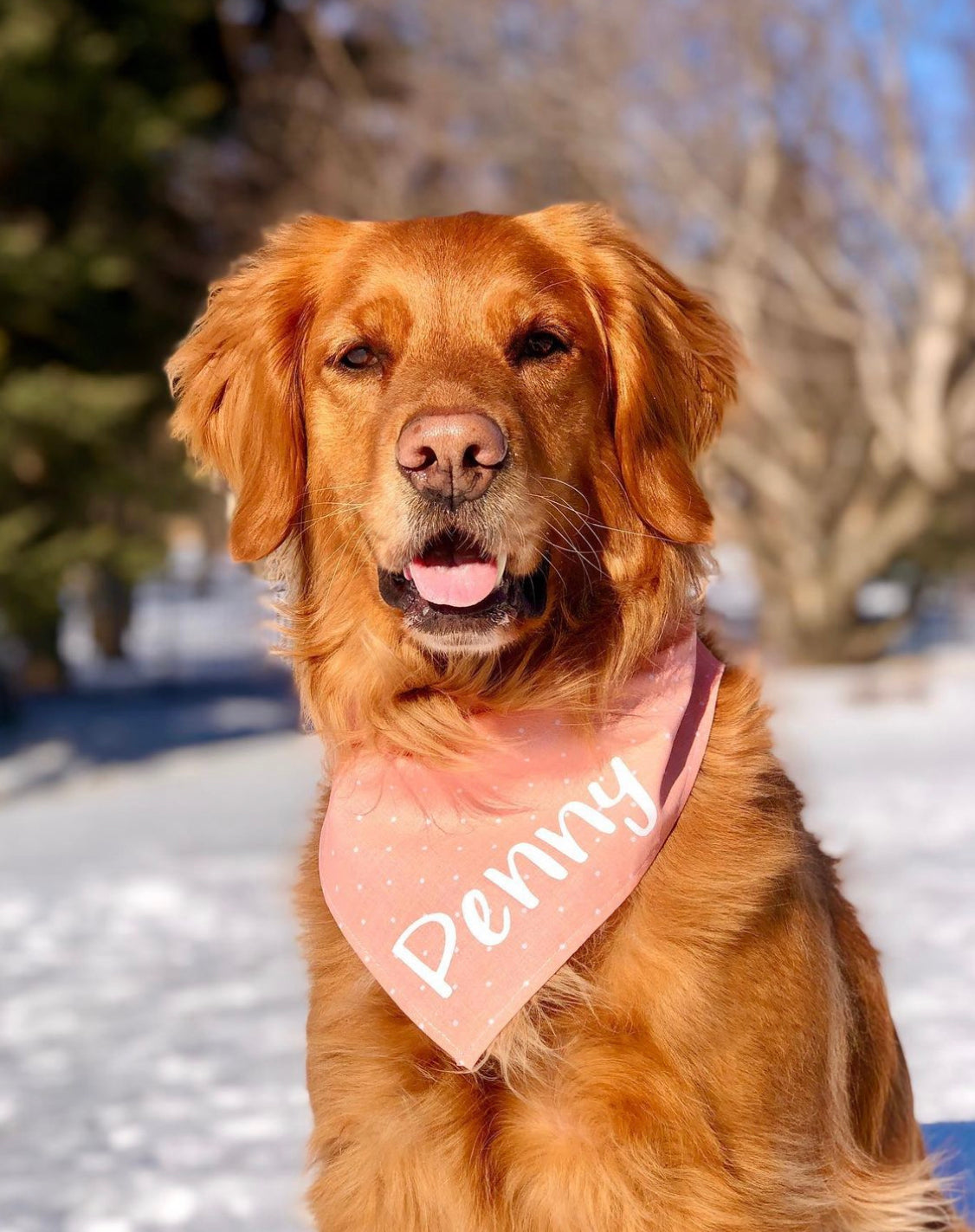 Personalized Original Bandana