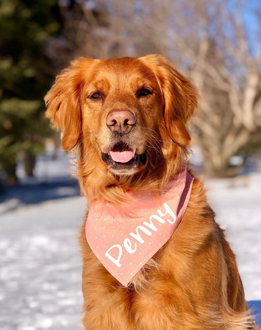 Personalized Original Bandana