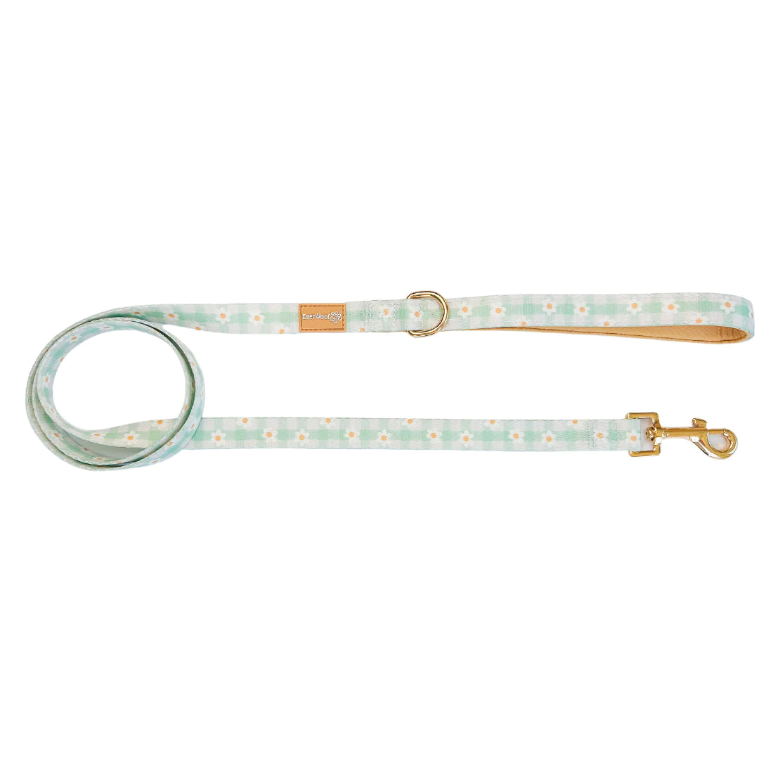 Plaid Daisy | Leash