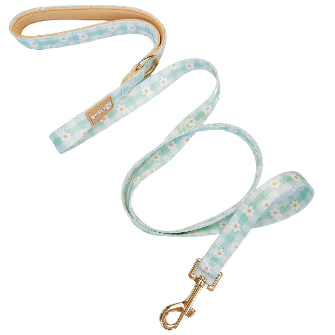 Plaid Daisy | Leash