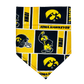 University of Iowa | Bandana