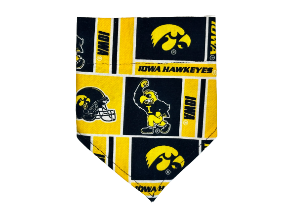 University of Iowa | Bandana