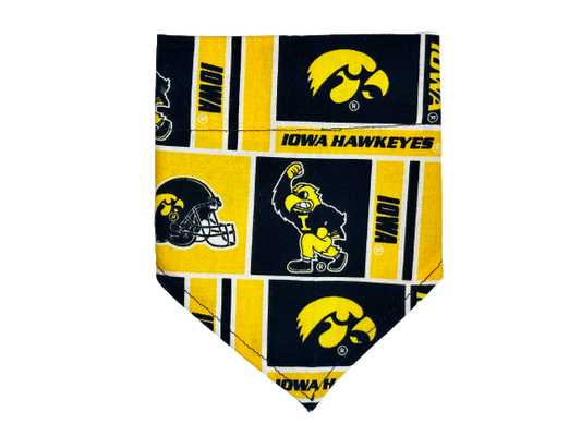 University of Iowa | Bandana